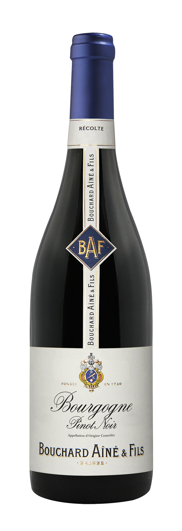 PINOT NOIR & BOURGOGNE BOUCHARD > Fils Ainé